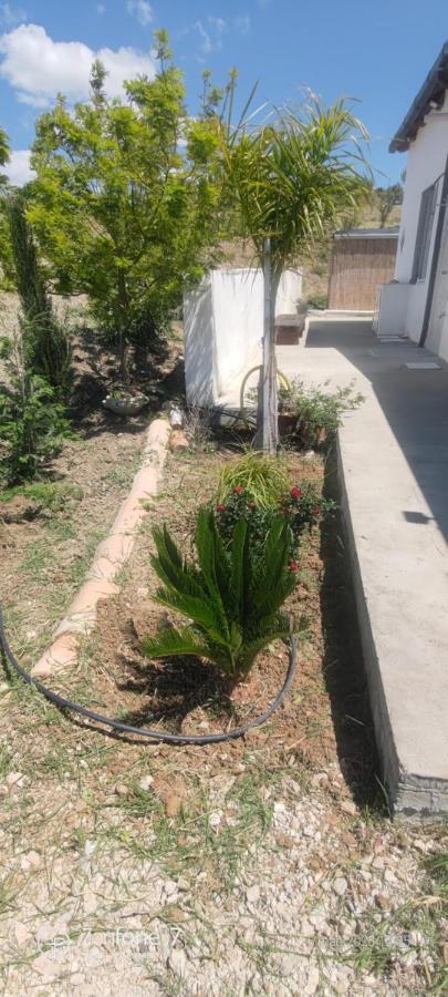 Abbacari Casa vacanze *